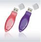 Advertising gift 2GB usb flash memory disk